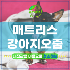 메인이미지1