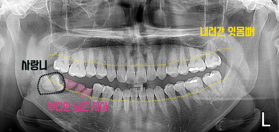 범어도담치과의원 이미지