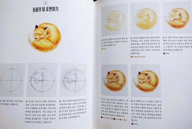 진진광택 이미지