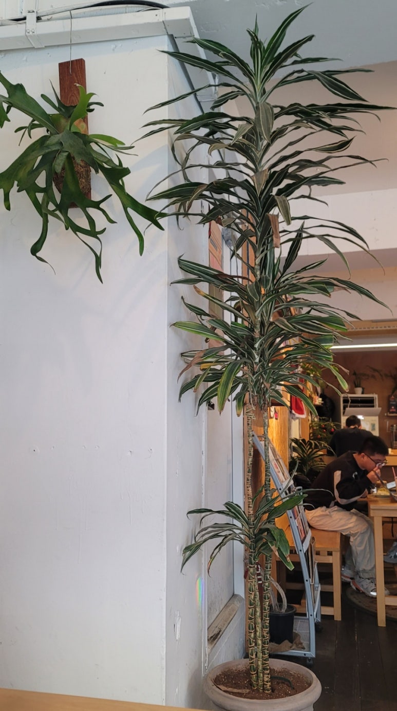 커피바슬슬 이미지