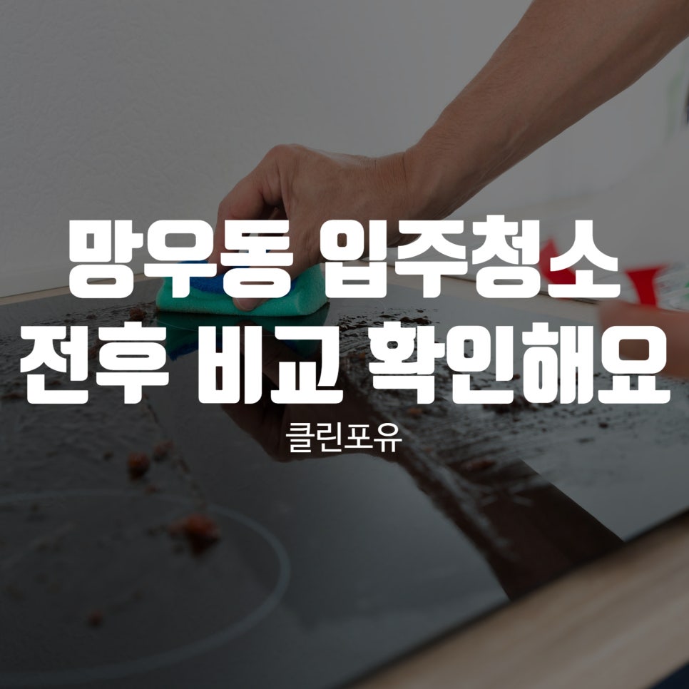 클린포유 이미지