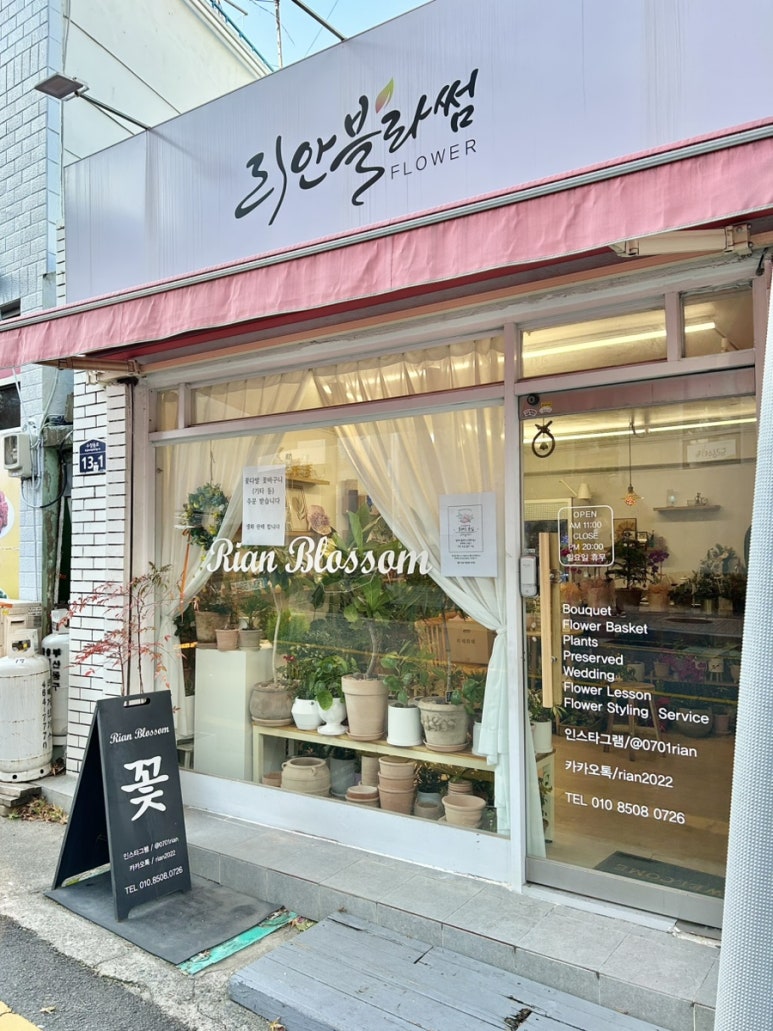 리안블라썸 이미지