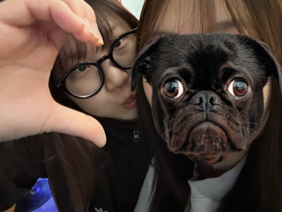 인스턴트 비어 이미지