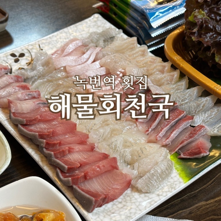 해물회천국 이미지