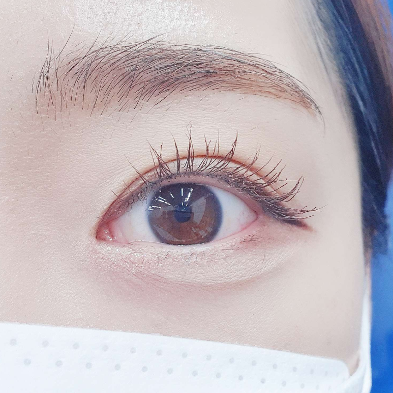 누보드스킨 이미지