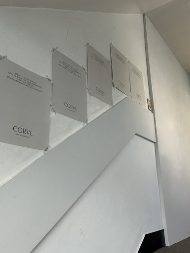 코르브(CORVE) 이미지