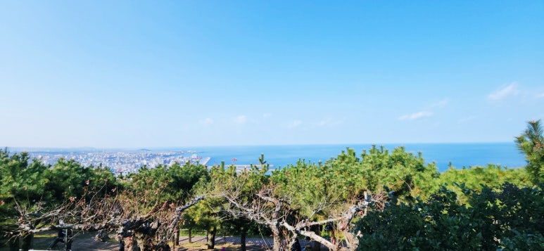 정상에 다다르는 길 이미지