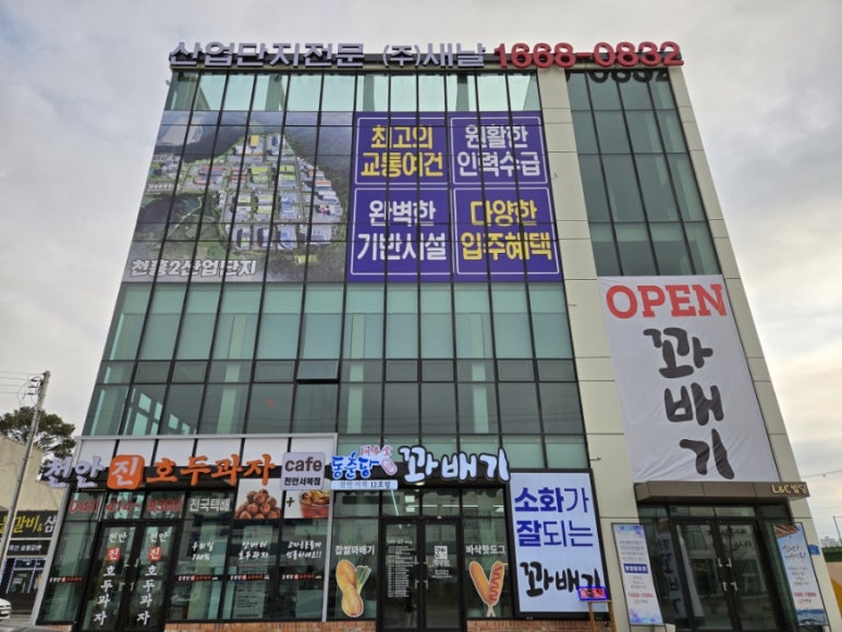 동춘당꽈배기 이미지