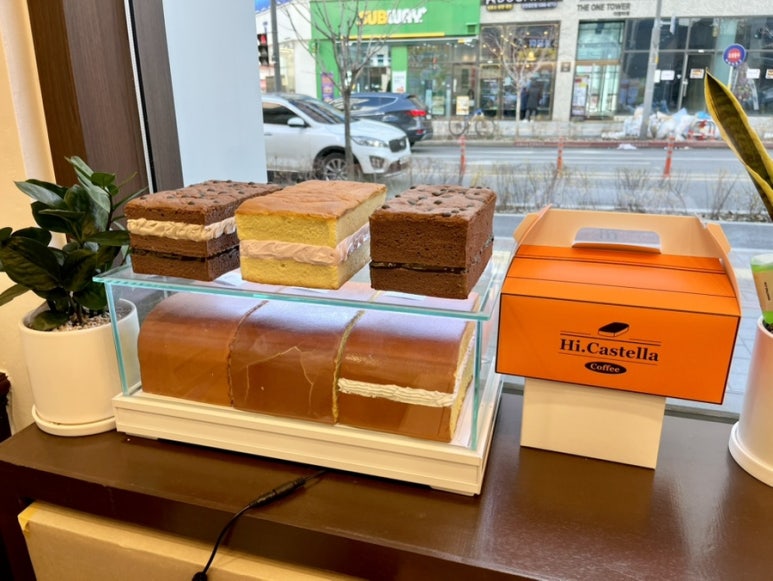 하이카스텔라 이미지