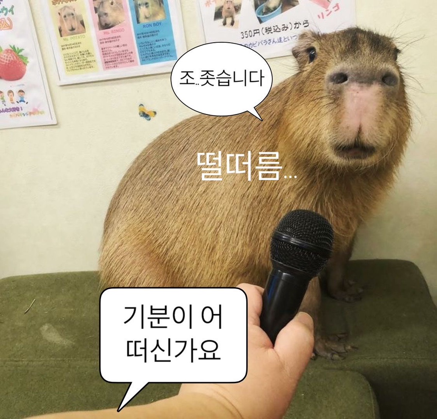 미류 이미지