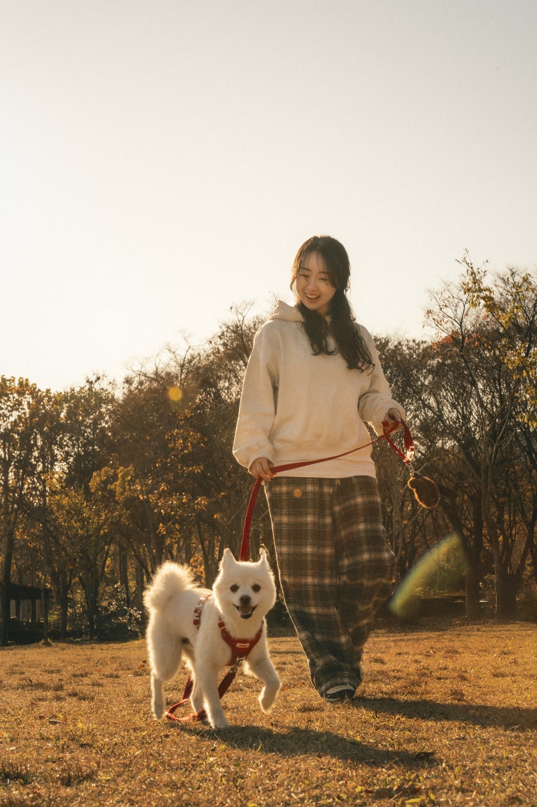사랑스냅 이미지