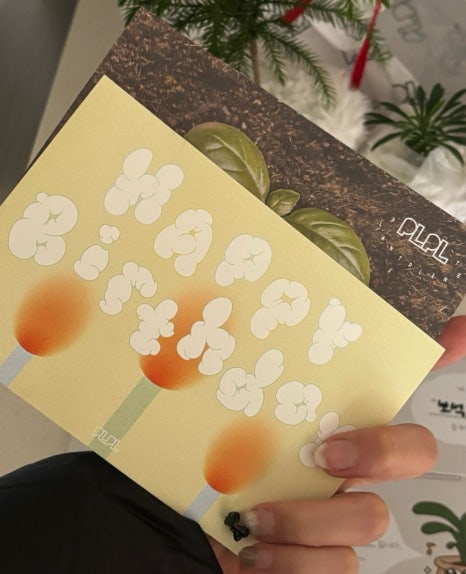 피엘피 이미지