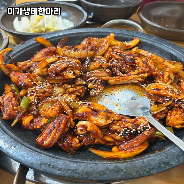 생태한마리 이미지