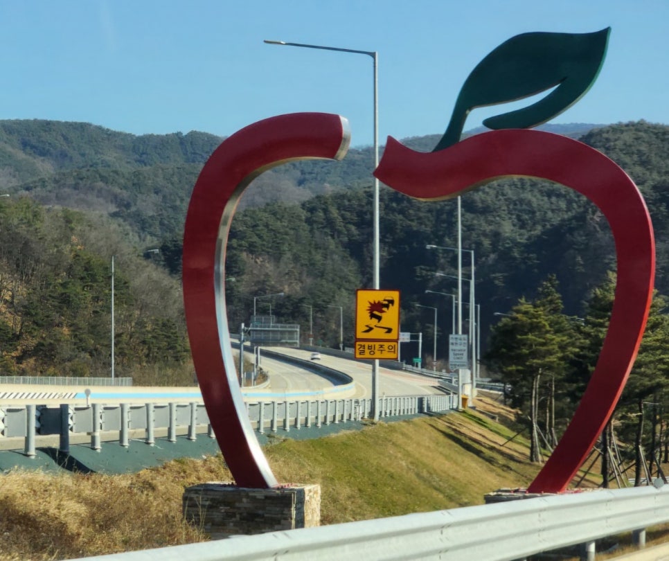 청송사과꽃내음 이미지