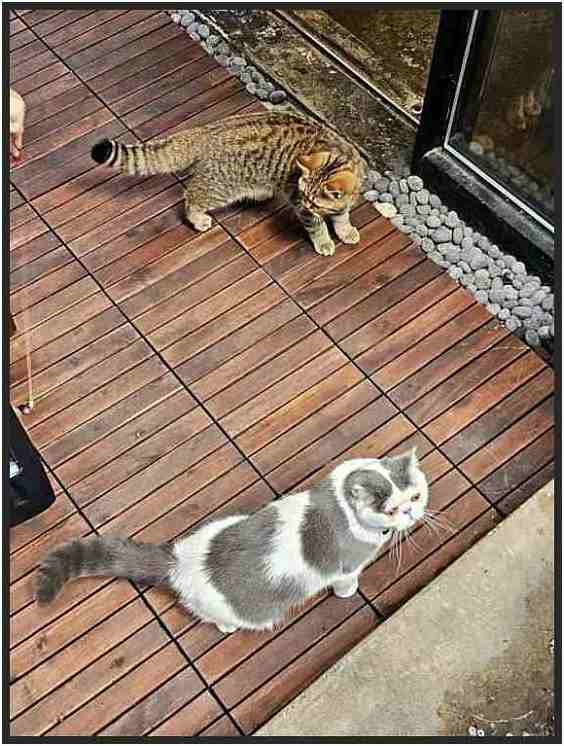홍담 이미지