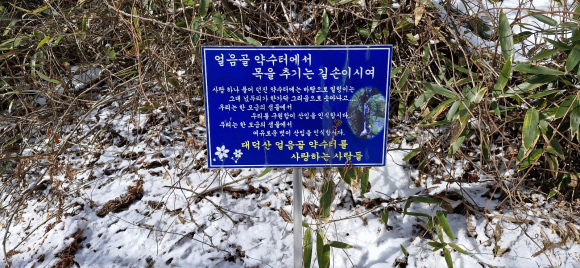 백두대간 치킨 이미지