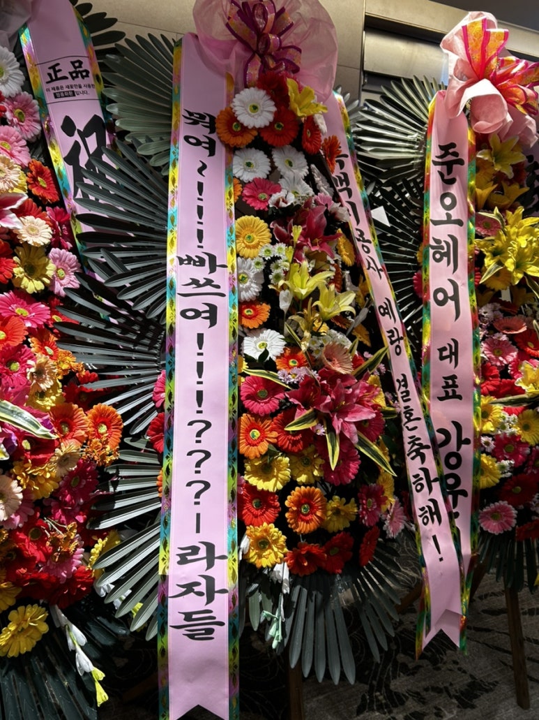 유하진영 이미지