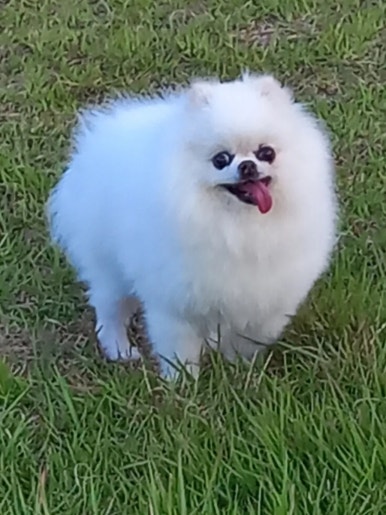 영동장례식장 이미지