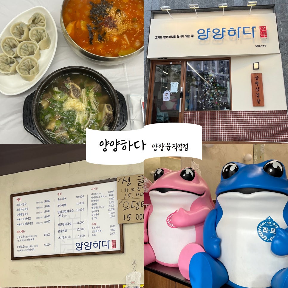 양양하다 양양읍 직영점 이미지