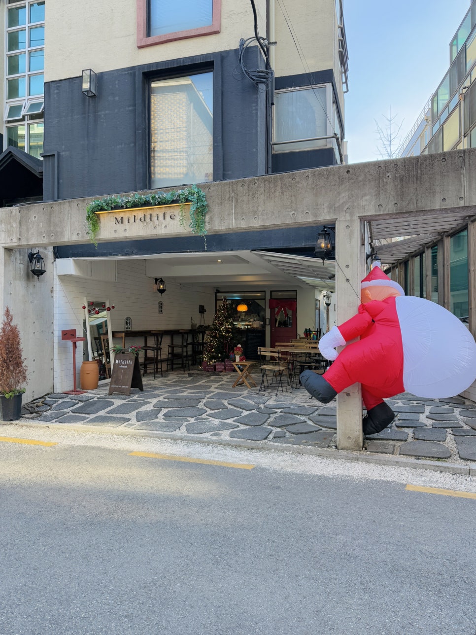 강남 애견동반 브런치 카페 마일드라이프, 압구정 맛집 후기 — 사진 2