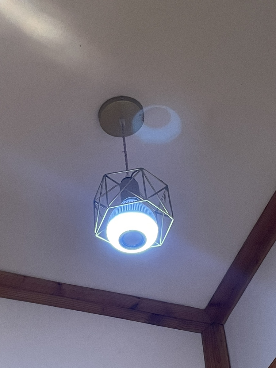 단양마중 이미지