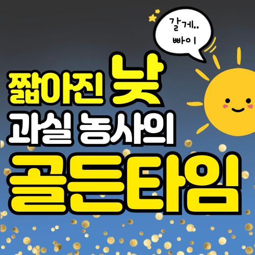 무지개농약사 이미지