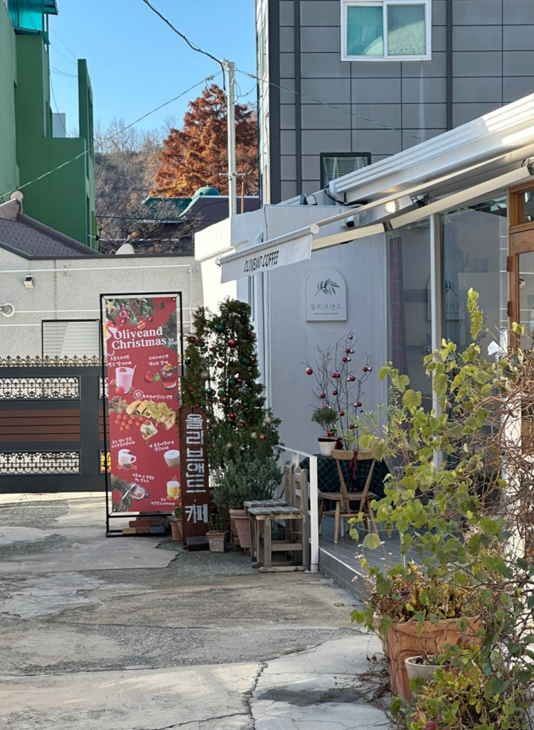 올리브앤드 이미지