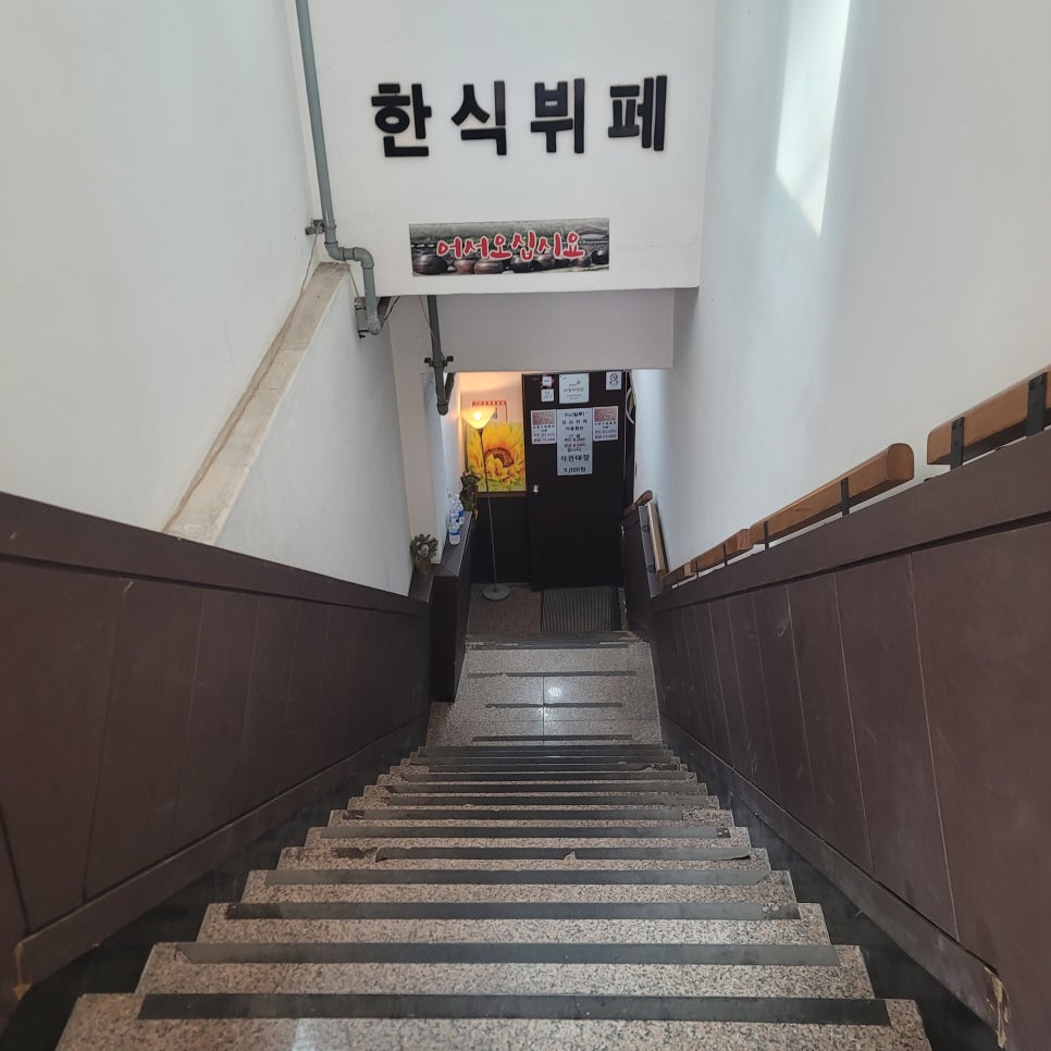 일루 사진 5