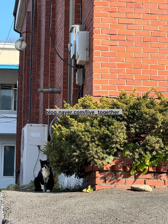 주식회사 청심 이미지