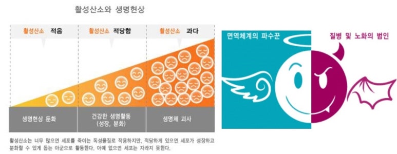 산소피부과의원 이미지