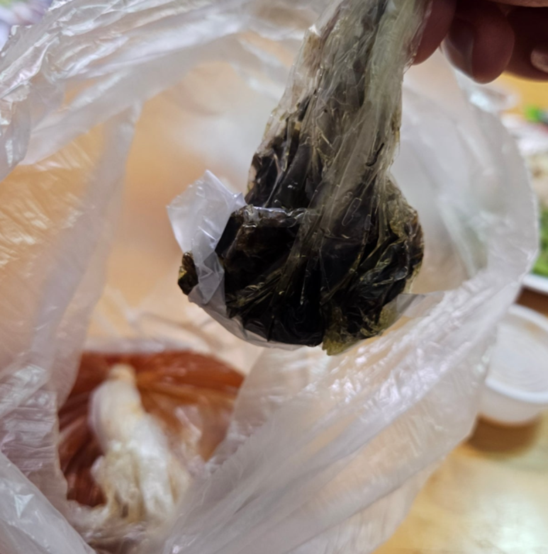 제주야회 이미지