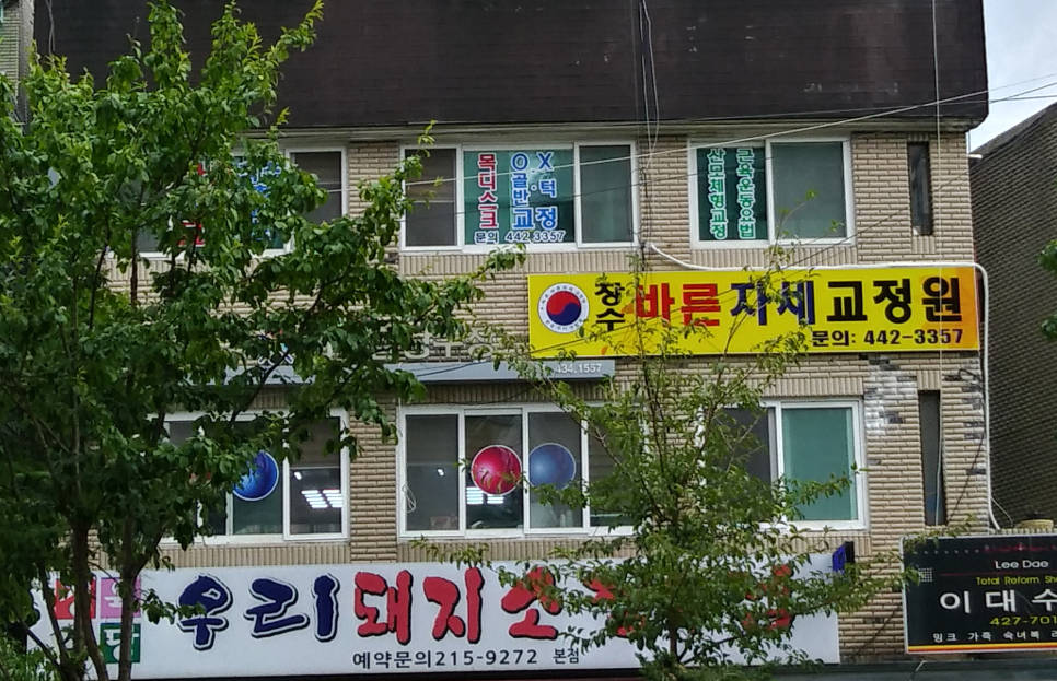 바른자세교정원 이미지