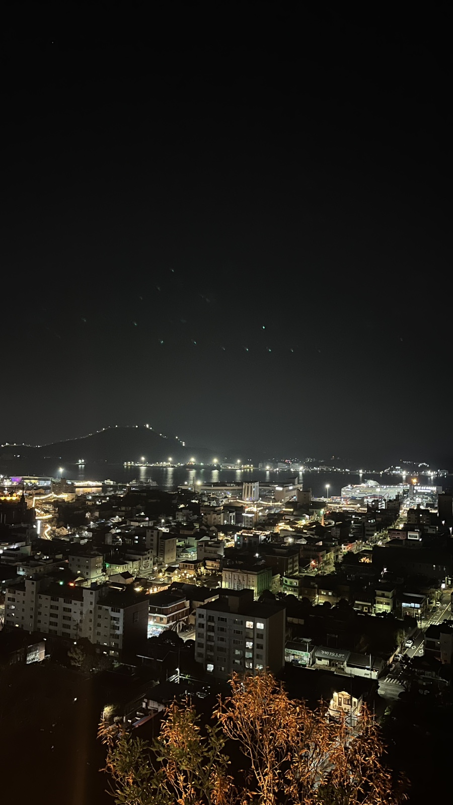 황박사목포쫀디기목포종합버스 이미지