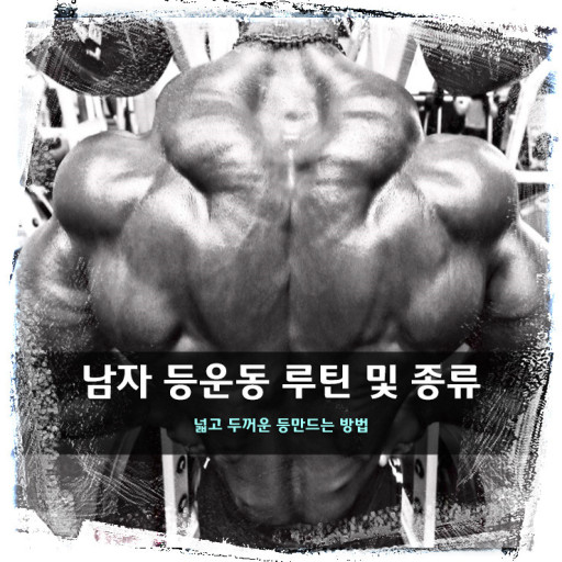 피트니스131 이미지