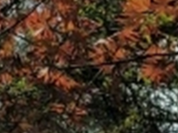 와인치과의원 이미지