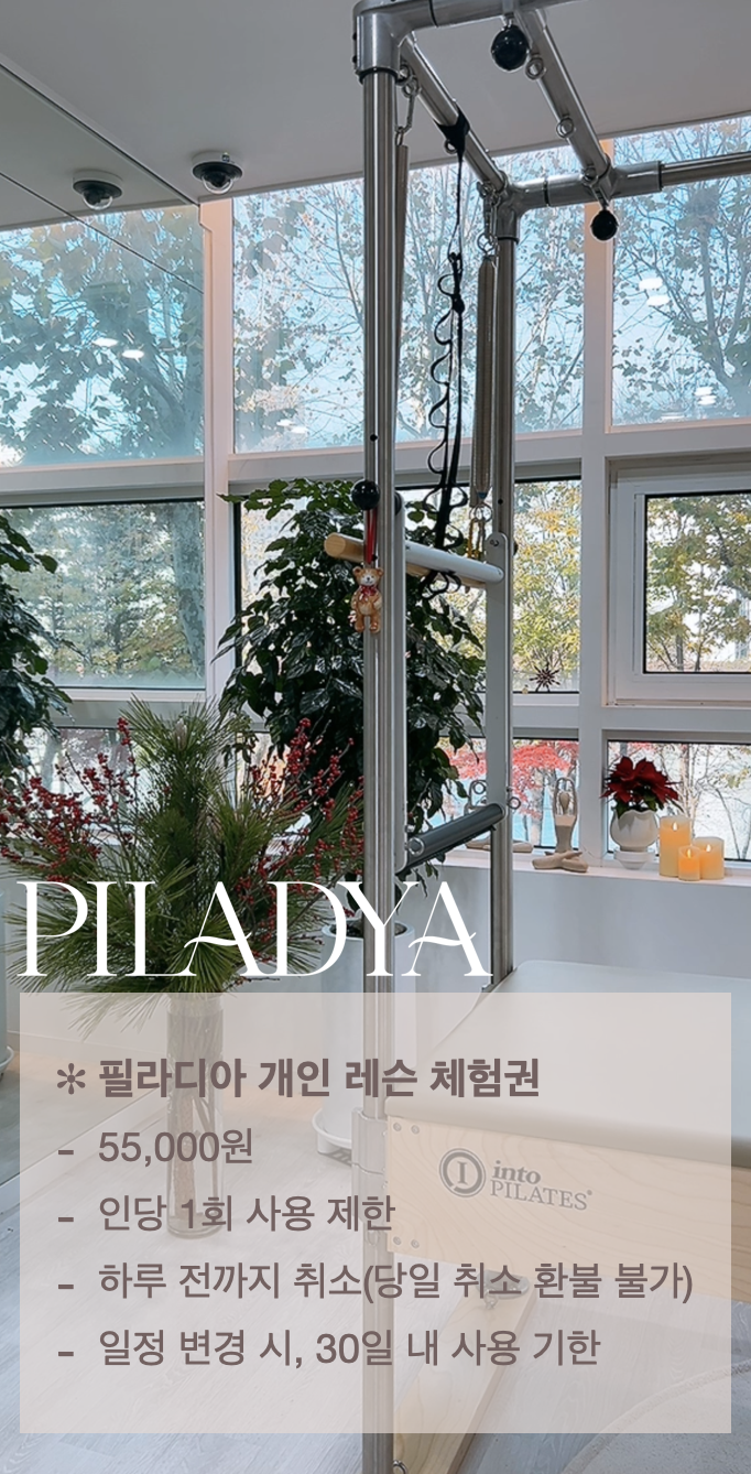 필라디아 이미지