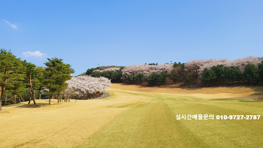 안성명품 이미지