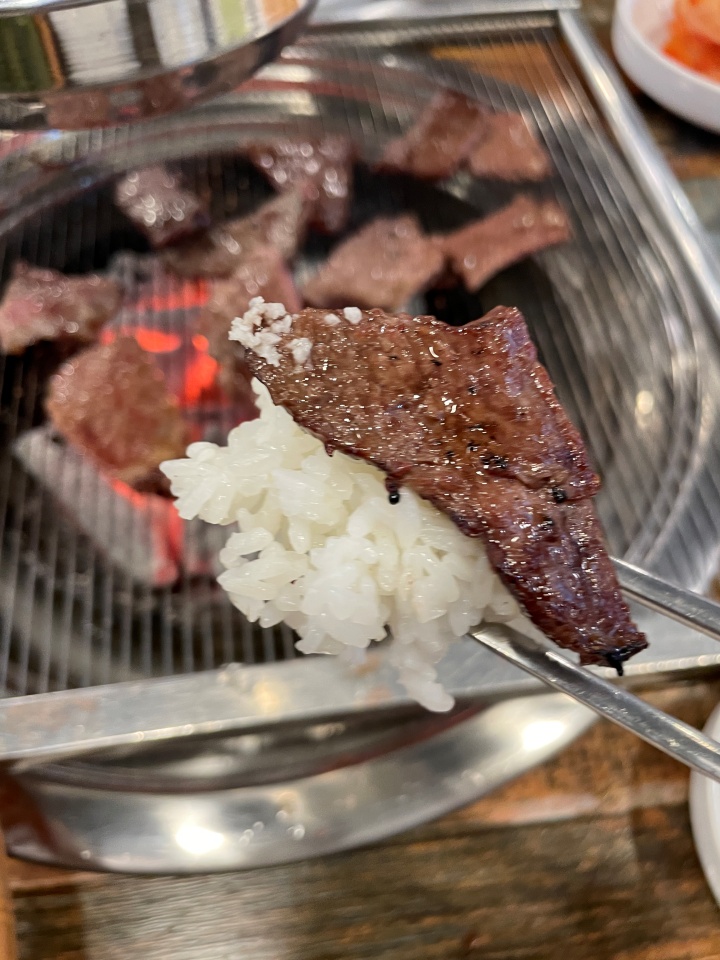 참토우 이미지
