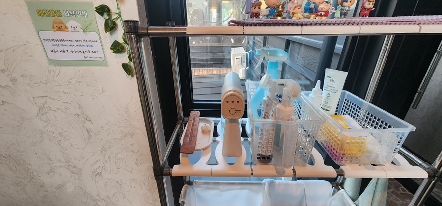 블란디야 이미지