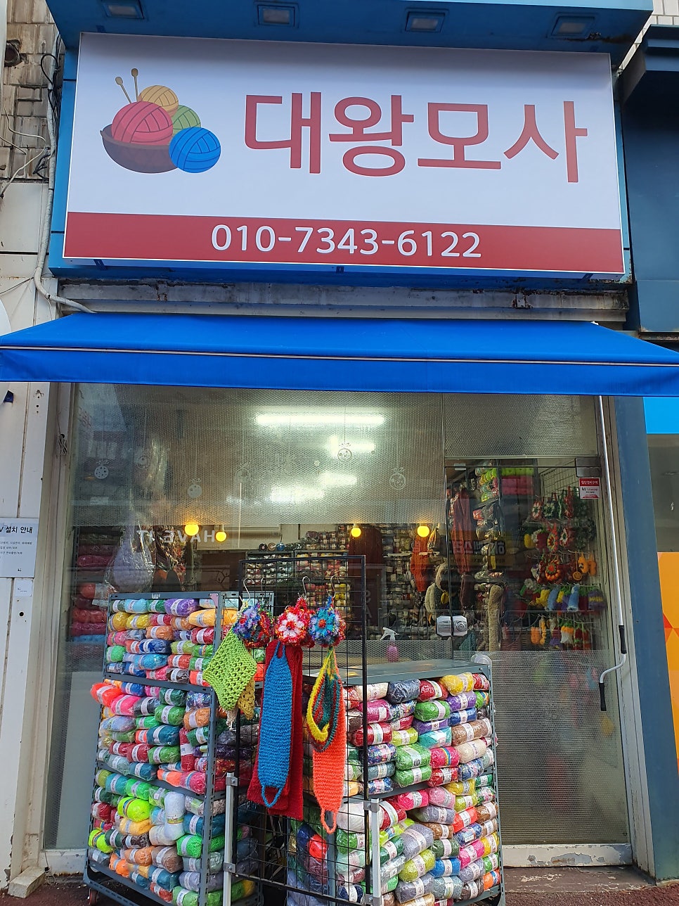 대왕모사 이미지