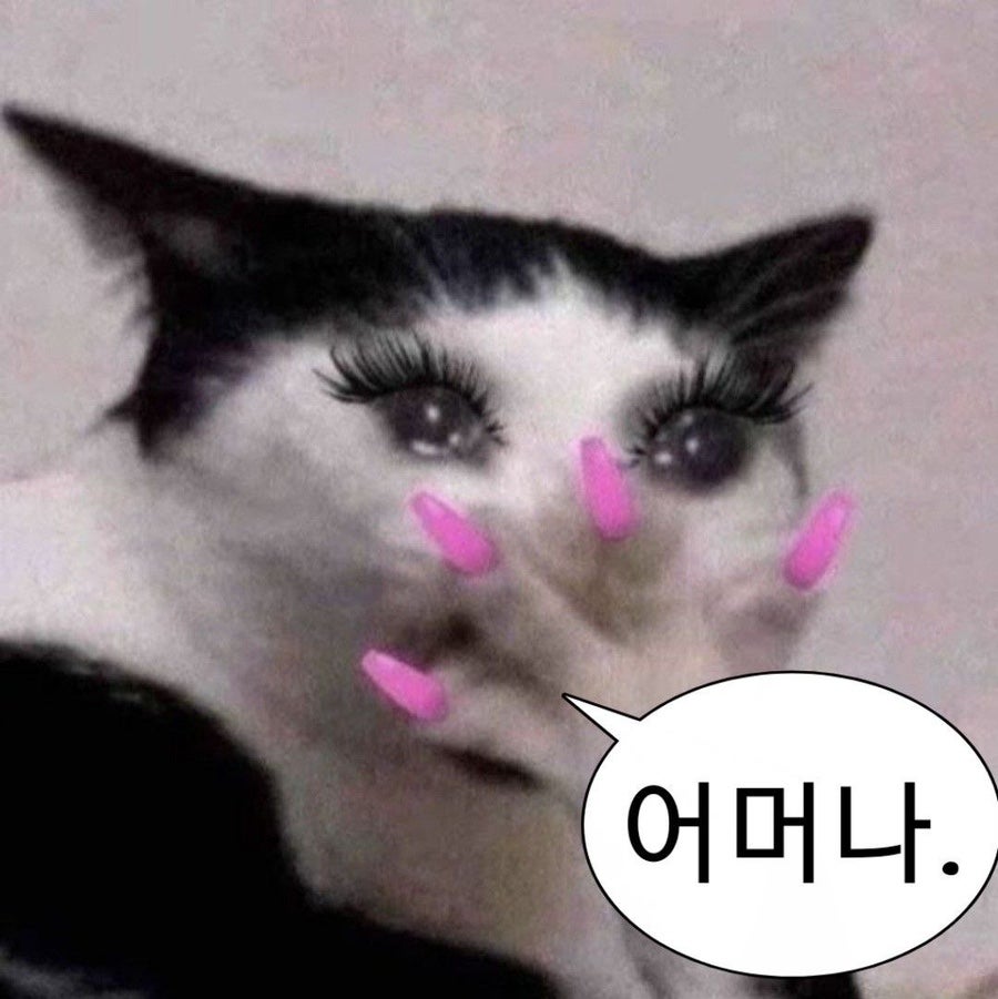스튜디오노네임 이미지