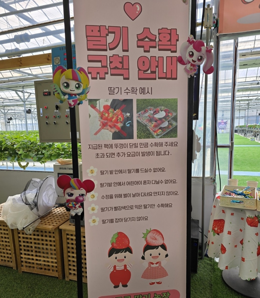 또로롱딸기농장 이미지