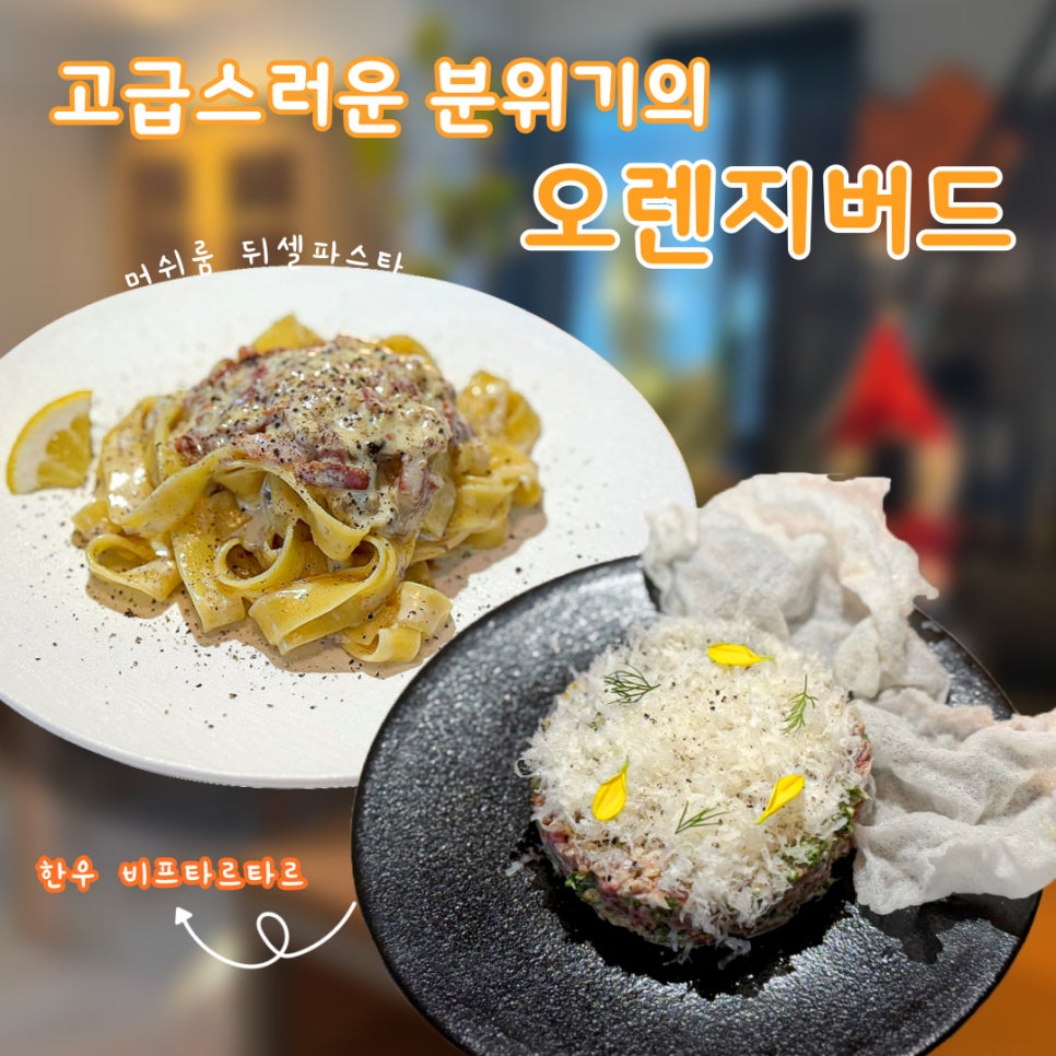 오렌지버드 이미지