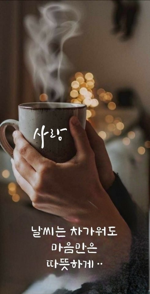 고양멘토즈스터디카페 이미지