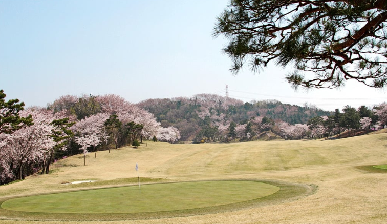 (주)제일스포츠센타 이미지