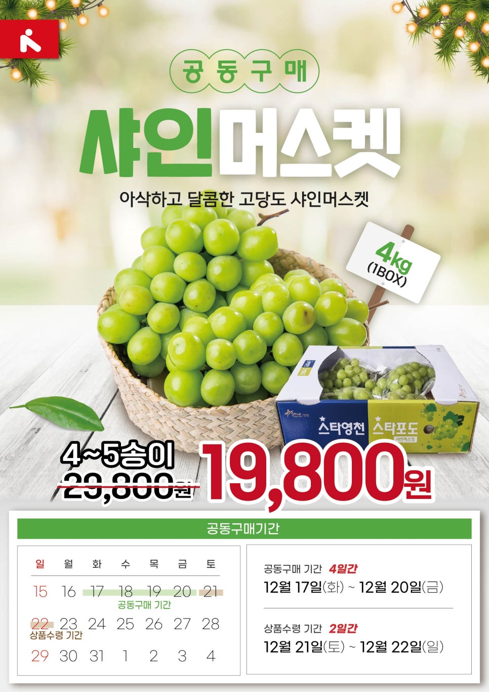 뉴월드마트로주 이미지