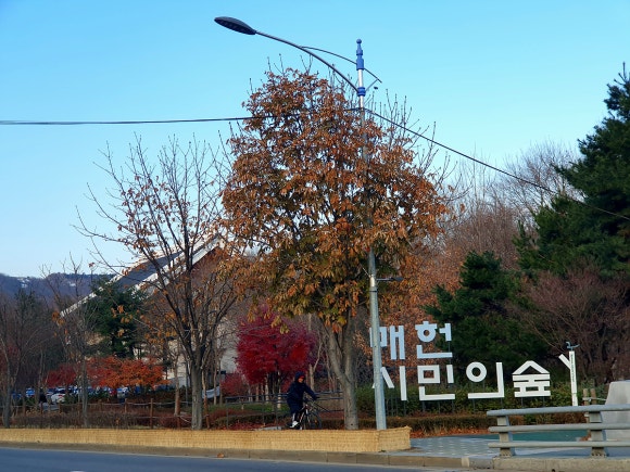 소야노래공원 이미지