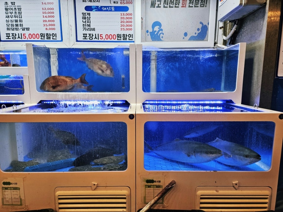 소문난가좌싱싱회 이미지