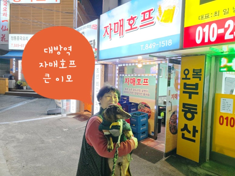 자매호프 이미지