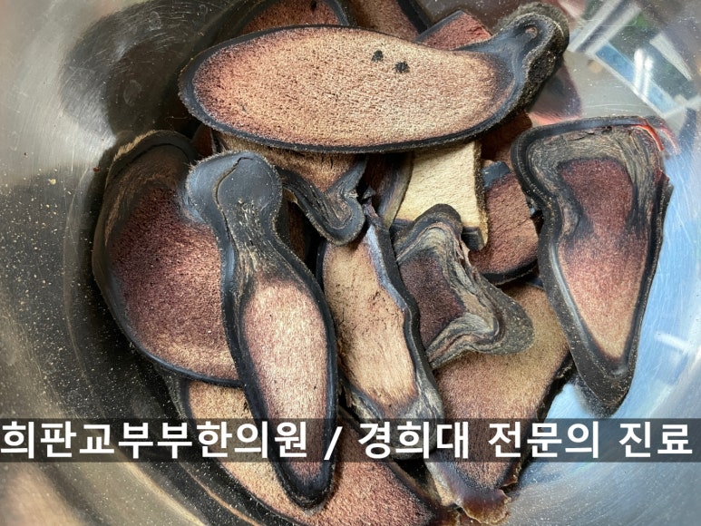 감초부부한의원 이미지